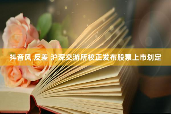抖音风 反差 沪深交游所校正发布股票上市划定
