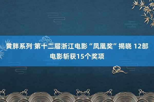 黄胖系列 第十二届浙江电影“凤凰奖”揭晓 12部电影斩获15个奖项